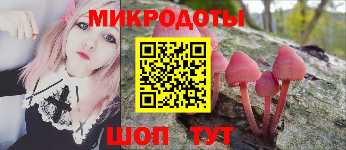 Псилоцибиновые грибы Psilocybe Черемхово