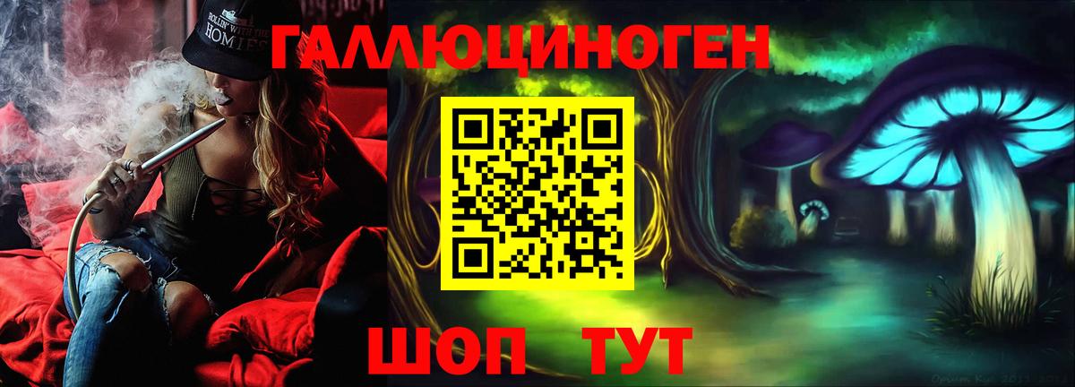 Галлюциногенные грибы прущие грибы  купить  цена  Черемхово  Вход с VPN 